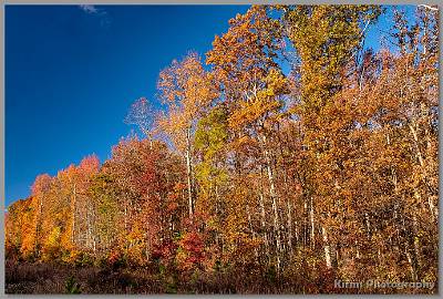 image by Kirms Photography Hurley Pond Road - Wall